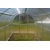 skleník KYKLOP 2 x 3 m  PC 4 mm  LG1545